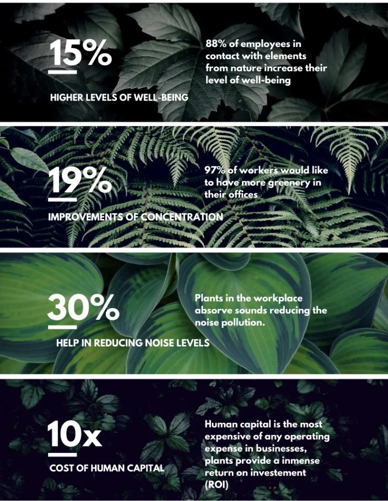 Infographic: Connecting with nature to increase productivity